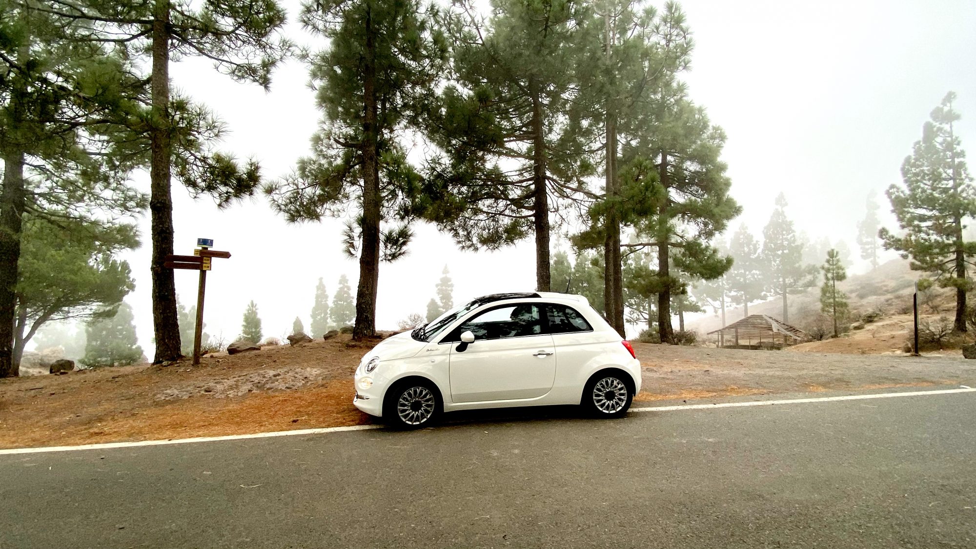Pico de las Nieves by car Pico de las Nieves by car