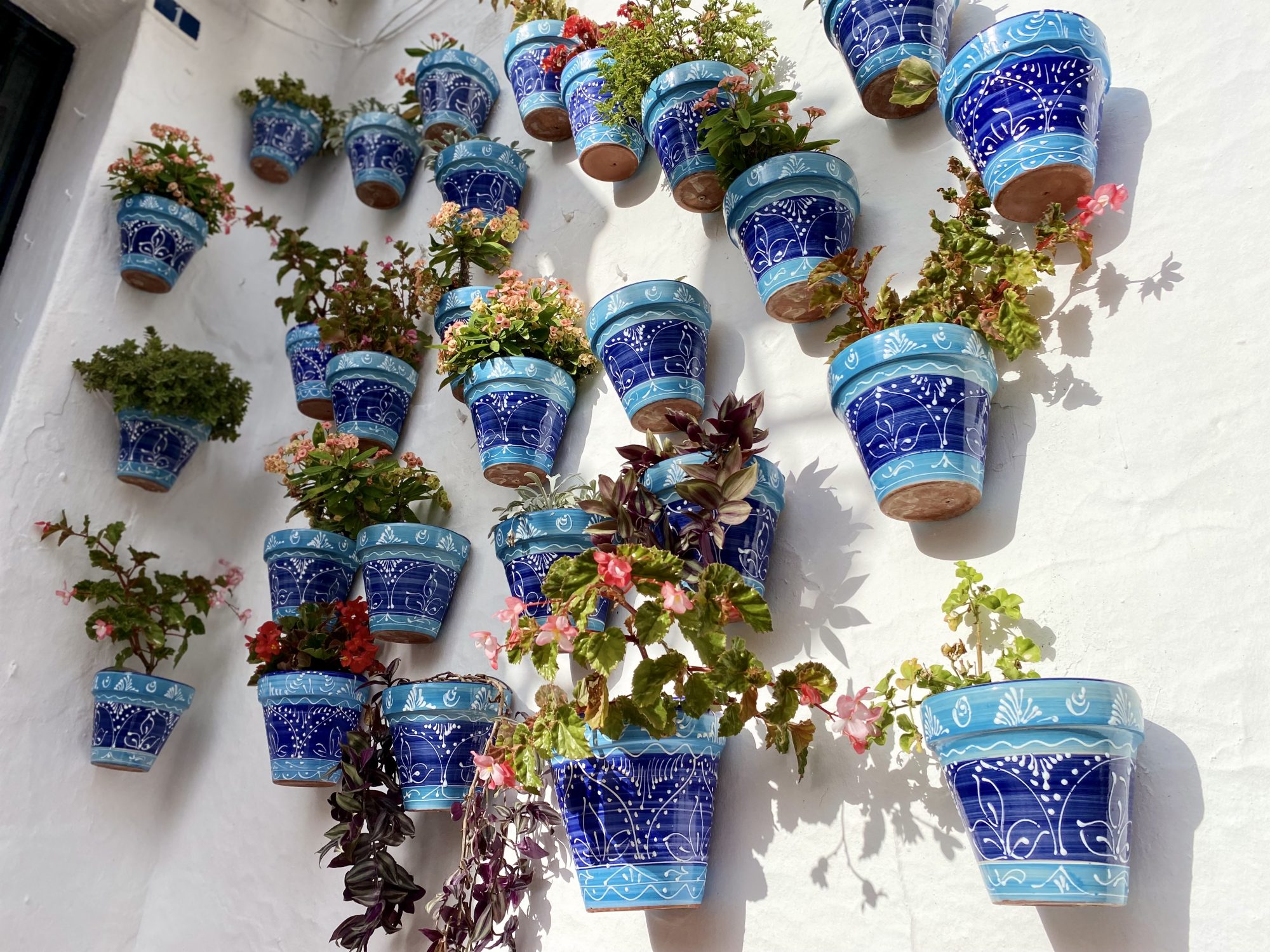 Flowers belong to whitewashed villages of Spain