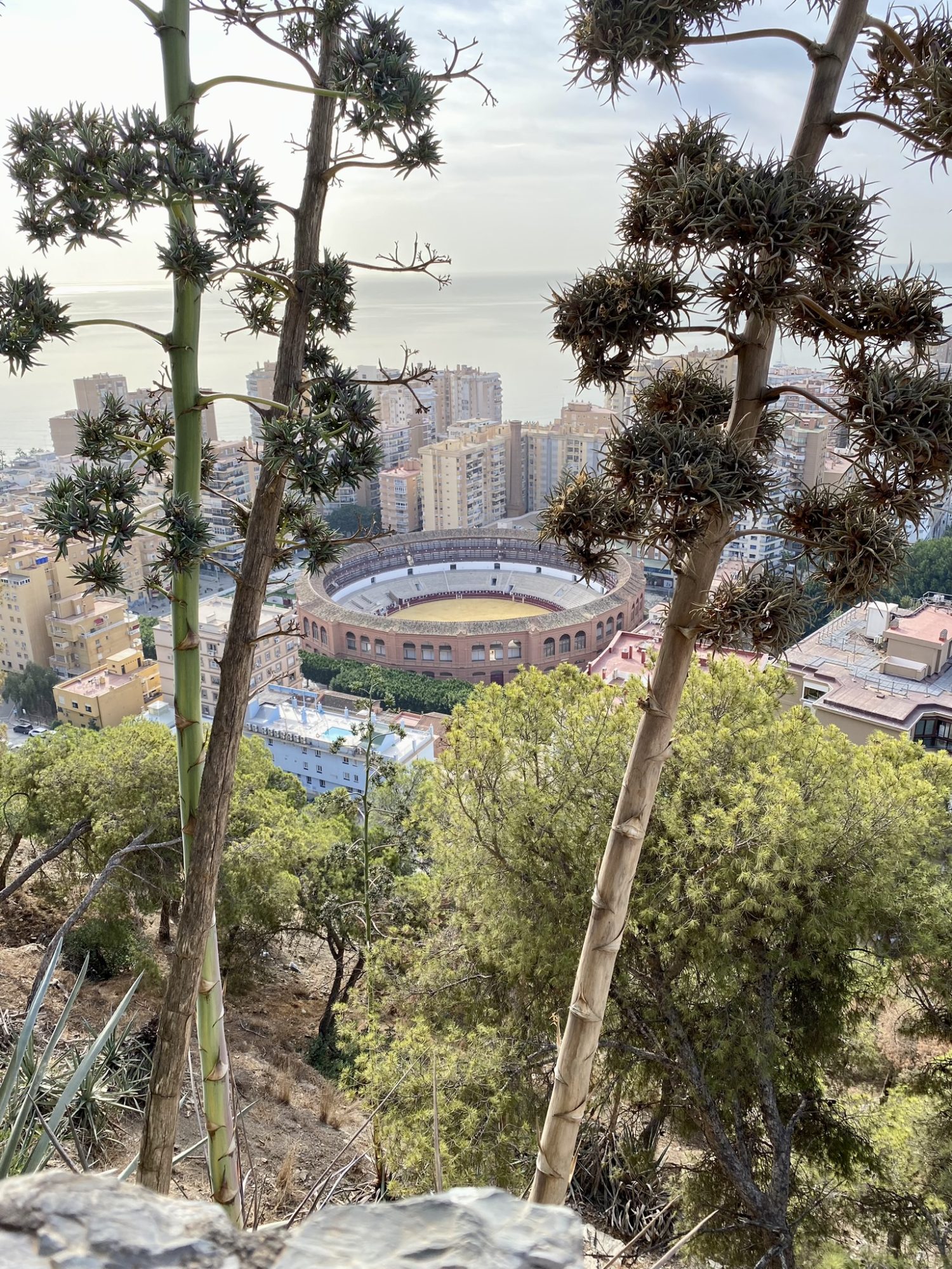 Plaza de Toros seen from the Castle of Malaga